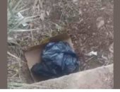 سيدة تتخلص من رضيعها أسفل كوبرى بأسيوط بسبب علاقة غير شرعية