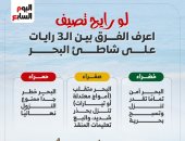 لو رايح تصيف.. اعرف الفرق بين الـ3 رايات على شاطئ البحر (إنفوجراف)