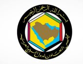 مجلس التعاون الخليجي يدين استهداف ميناء دمياط.. ويؤكد: نقف مع مصر (فيديو)