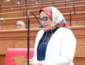 برلمانية: الاصطفاف الوطني السبيل الوحيد لإحباط مخططات زعزعة الاستقرار