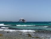 جماليات البحر الأحمر.. وجهات الغوص العالمية فى مصر