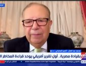 خبير مصرفي: تقرير الاستقرار المالي يعزز ثقة المستثمرين بأفريقيا