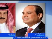 أستاذ علاقات دولية: الدبلوماسية المصرية تسعى لمنع توسع الصراع الإيراني