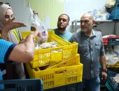 ضبط طن ونصف من الدواجن وأجزائها غير صالحة للاستهلاك بمركز قليوب.. صور 