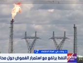 خبيرة طاقة: مضيق هرمز أصبح نقطة الضغط الأبرز على الاقتصاد العالمى