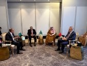 وزير الخارجية يبحث مع وزراء R4 مستجدات الأوضاع الإقليمية وخفض التصعيد