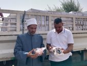 تسليم 3 أطنان لحوم من مديرية الأوقاف إلى التضامن الاجتماعى بأسوان
