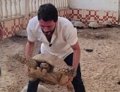 السطح اللى بقى منجم فلوس.. قصة أغرب مزرعة سلاحف مع "فتحى شو"