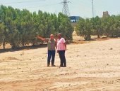 رئيس نظافة القاهرة يتفقد أعمال تطوير محور التبين وحلوان ومحيط مقبرة السيارات