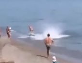 سمكة 300 كيلو تطارد مصطافًا حتى الشاطئ فى إسبانيا.. فيديو