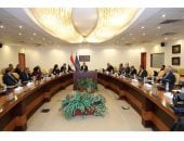 النائب أحمد بدوى: قرارات جديدة لحسم أزمة خطوط المحمول وتطبيق الهوية الرقمية