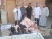 الطب البيطري بسوهاج: ضبط طن من اللحوم غير الصالحة للاستهلاك الآدمي