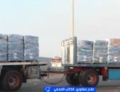 صلاح مغاوري: مصر تعتبر القضية الفلسطينية جزءاً أصيلاً من أمنها القومى