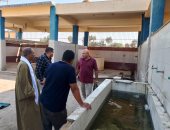 محافظ أسيوط يتابع انتظام العمل بمجزر البداري بالكوم الأحمر