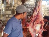 الطب البيطرى بأسوان تكثف حملاتها التفتيشية على أسواق اللحوم
