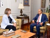 وزير الخارجية يستقبل المنسق المقيم للأمم المتحدة فى مصر