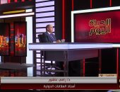 خبير علاقات دولية: مصر بوابة استثمارات الدوحة نحو دول أفريقيا