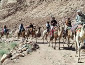 سانت كاترين تستقبل 420 زائرًا وسط انتعاش السياحة الدينية والبيئية
