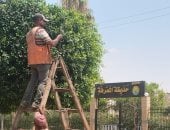 جهاز التطوير والتجميل يواصل رفع كفاءة حدائق وميادين الإسماعيلية