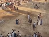 على ظهر الجمال والخيول.. بهجة المولد في قرى الأقصر بشكل مختلف.. فيديو