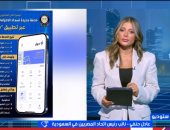 عادل حنفى لإكسترا نيوز: تطبيق سهل يتيح للمصريين بالخارج سداد الفواتير إلكترونيا