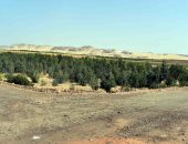 رئيس مياه سوهاج: تأجير 29 مشروعا لاستغلال الأصول بنظام حق الانتفاع