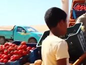 باعة سوق الأربعاء بالشيخ زويد: السوق مصدر رزق ونطالب باستمراره