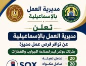 60 فرصة عمل جديدة لشباب الإسماعيلية.. اعرف التفاصيل