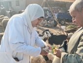 انطلاق الحملة الثانية للتحصين ضد الحمى القلاعية والوادى المتصدع بالجيزة