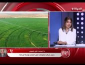 رئيس مركز تغير المناخ لـ الساعة 6: الدولة تحمي مصر من مخاطر نقص القمح