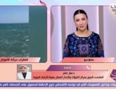 الأرصاد توضح حالة الطقس خلال الفترة المقبلة: انخفاض بدرجات الحرارة هذا الأسبوع