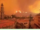 مشاهد إنسانية فى قلب ألسنة النيران بالجزائر..الأهالى يتسابقون لعون المتضررين.. والمساجد تصدح بتكبيرات الأذان وسط ألسنة نيران الحرائق.. والحيوانات تكافح الحرائق بطريقتها الخاصة.. (فيديو )