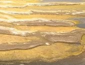نهر الدانوب يفضح أسرار الحرب.. الجفاف يكشف جثتى جنديين ودراجة عسكرية