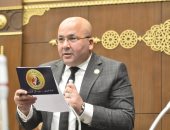 نائب: زيارة رئيس الصين لمصر تؤكد عمق الشراكة الاستراتيجية وتدعم فرص الاستثمار