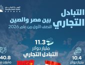جهاز الإحصاء: 199.8% ارتفاعا فى قيمة الصادرات المصرية إلى الصين