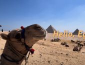 «أهلا مصر».. وسائل إعلام صينية تحتفى بزيارة الرئيس شي للقاهرة .. فيديو