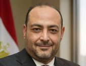 نائب: توجيهات الرئيس السيسي تحول الطيران المدني إلى منظومة عالمية متكاملة