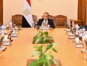 وزير الخارجية يتابع مستجدات إنشاء منصة إلكترونية لخدمة للمصريين بالخارج