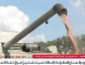 خبير تنمية مستدامة: تخزين الغذاء عالميا أدى لندرة المواد الغذائية المعروضة