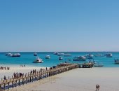 رحلات السفاري البحري في البحر الأحمر.. مغامرة استثنائية تجذب آلاف السياح الأوروبيين لاكتشاف الجزر البكر ومواقع الغوص البعيدة.. ومشاهدة الدلافين والقروش وكهوف الشعاب المرجانية في أعماق البحر.. صور