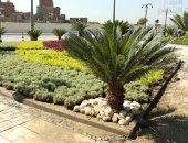 تشجير وميادين خضراء.. تطوير محيط مسجد السيدة عائشة وسور مجرى العيون