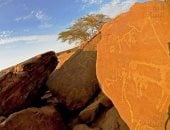 صخور شاهدة على العصور.. مخربشات ورسومات للفراعنة والرومان بجبال شلاتين