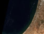 رعب فى دولة الاحتلال.. الطحالب تشل 5 محطات تحلية مياه رئيسية فى إسرائيل