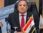 رئيس "الشئون العربية بالنواب": الوعي ركيزة أساسية وحائط صد لحماية استقرار مصر