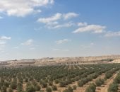 طقس معتدل على شمال سيناء اليوم.. وانخفاض ملحوظ بدرجات الحرارة