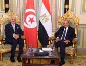 وزير الخارجية يؤكد أهمية الدفع بتسوية شاملة في ليبيا بملكية وطنية