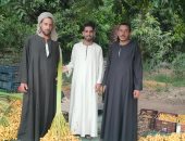 يا طالع النخلة.. أجواء مبهجة فى موسم حصاد التمر البرحى جنوب الأقصر.. صور
