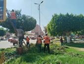 رفع كفاءة الشوارع والميادين والمسطحات الخضراء بعدد من شوارع الإسماعيلية