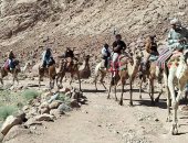 سانت كاترين تستقبل 590 سائحا وزائرا من مختلف الجنسيات