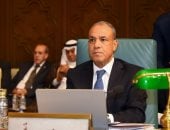 وزير الخارجية يؤكد أهمية تعزيز منظومة الأمن القومي العربي بالتكامل الدفاعي